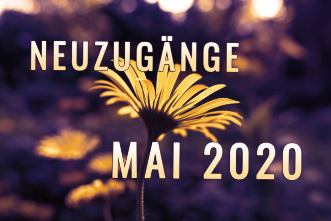 plantain-leaved-leopards-bane-3414889_1920 Kopie